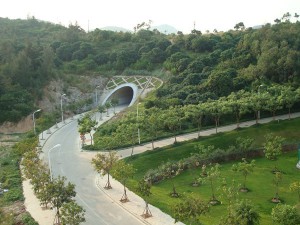 这里是嘉庚 厦大漳州校区 http://www.80-go.com/wp-content/uploads/2011/04/112-300x225.jpg