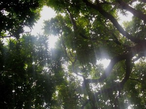 这里是嘉庚 厦大漳州校区 http://www.80-go.com/wp-content/uploads/2011/04/141-300x225.jpg