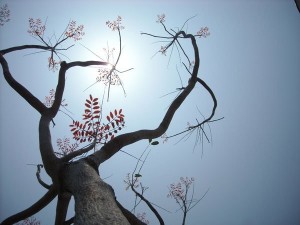 这里是嘉庚 厦大漳州校区 http://www.80-go.com/wp-content/uploads/2011/04/25-300x225.jpg