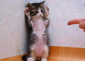 不可不看:十大经典的学生插嘴,你笑了,有木有? http://www.80-go.com/wp-content/uploads/2011/04/http_imgload-300x214.png