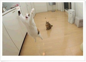 不可不看:十大经典的学生插嘴,你笑了,有木有? http://www.80-go.com/wp-content/uploads/2011/04/http_imgloadCAH2EEDC-300x218.jpg