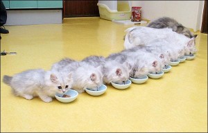 不可不看:十大经典的学生插嘴,你笑了,有木有? http://www.80-go.com/wp-content/uploads/2011/04/http_imgloadCAT8XR1L-300x193.jpg