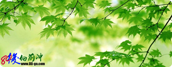 被国人误传了几千年的八句俗语 http://www.80-go.com/wp-content/uploads/2011/11/yanyu.jpg